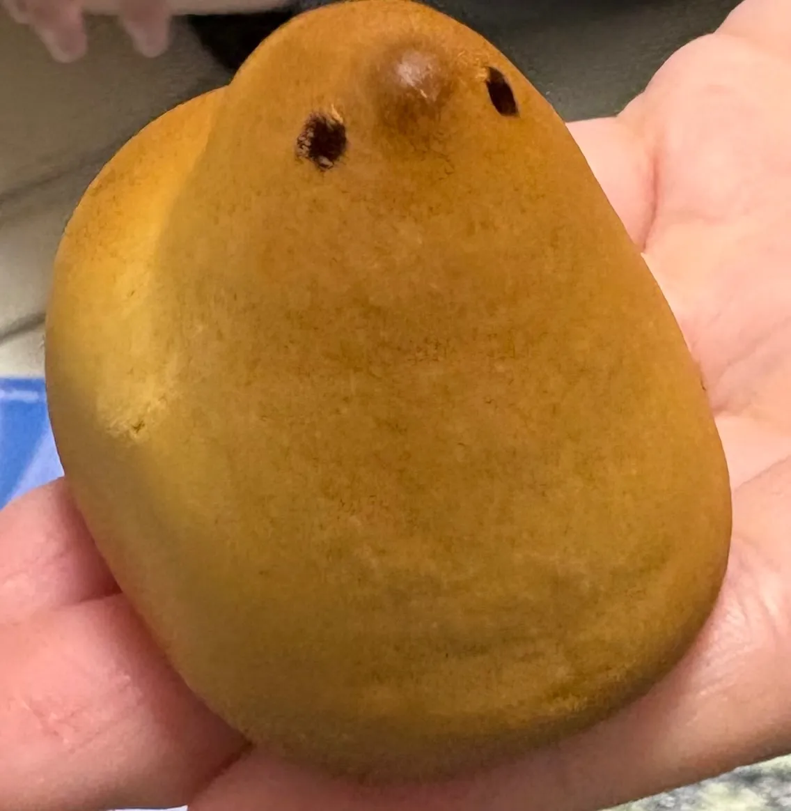 東京ひよ子 トロワアンプレスショコラの実物